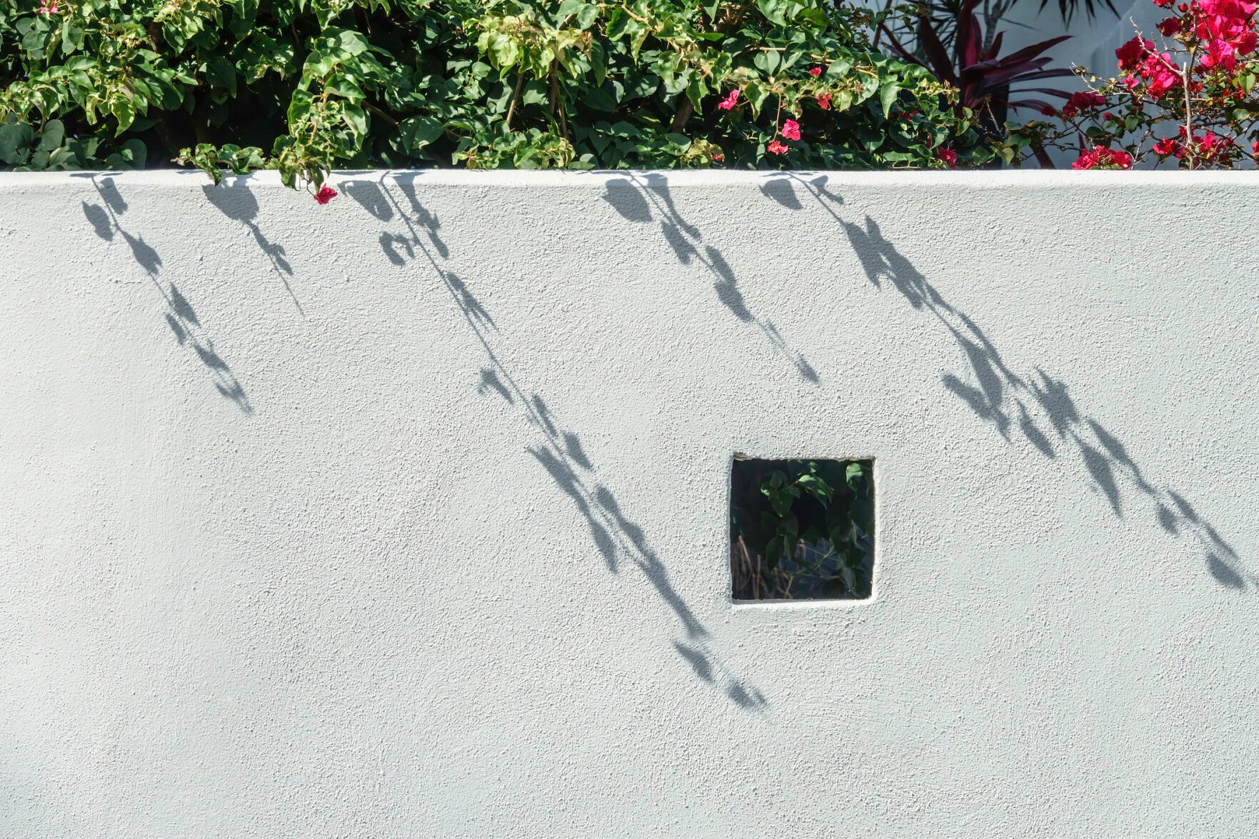 Masonry garden wall (copy)